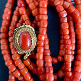 Rare Victorian Coral Necklace with an 14ct Gold Clasp