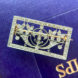 Edwardian Platinum & Gold, Diamond Brooch